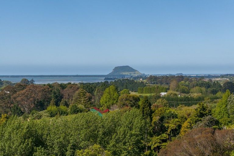 Photo of property in 140b Minden Road, Minden, Tauranga, 3176