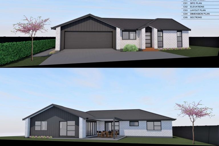 Photo of property in 133 Churcher Street, Feilding, 4702