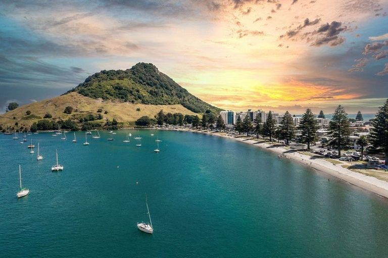 Photo of property in 23 Victoria Road, Mount Maunganui, 3116