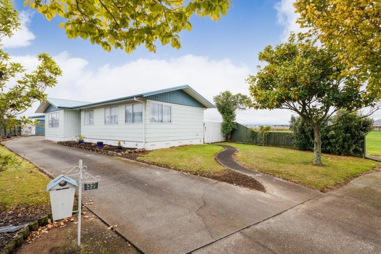 Photo of property in 32 Leander Place, Milson, Palmerston North, 4414