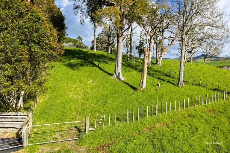 Photo of property in 24 Totara Rise, Maungaturoto, 0588