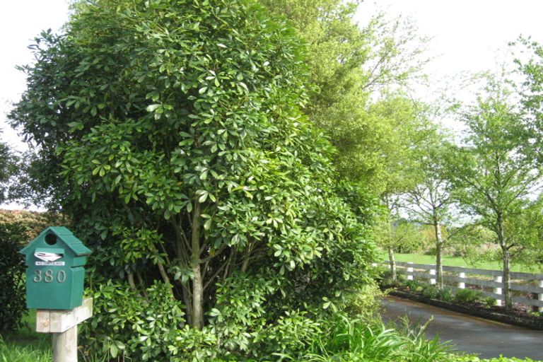 Photo of property in 380 Nayland Road, Stoke, Nelson, 7011