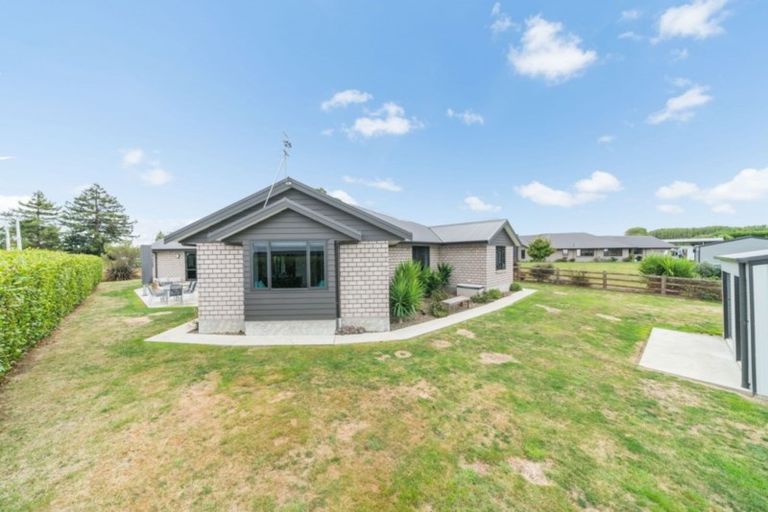 Photo of property in 6 Arnott Street, Feilding, 4702