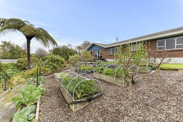 Photo of property in 36 Maire Street, Inglewood, 4330