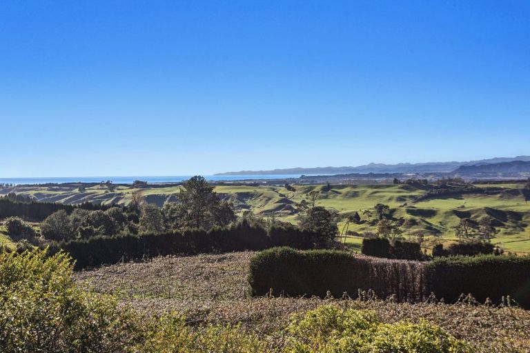 Photo of property in 501 Paerata Ridge Road, Waiotahe, Opotiki, 3198