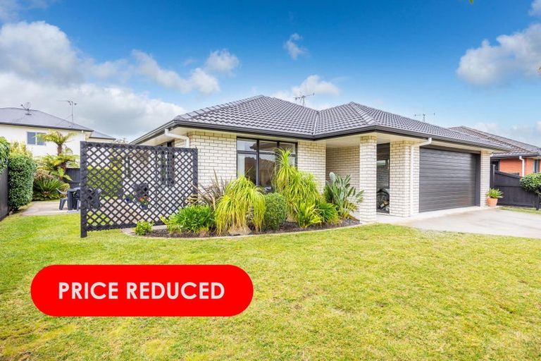 Photo of property in 40 Parkside Drive, Huntington, Hamilton, 3210