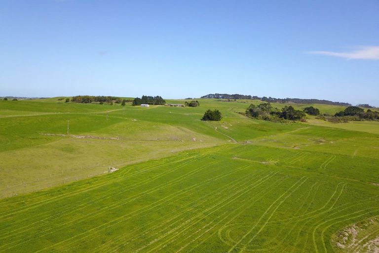 Photo of property in 110a Colville Road, Dargaville, 0371