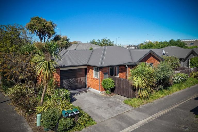 Photo of property in 17 Picton Avenue, Riccarton, Christchurch, 8011
