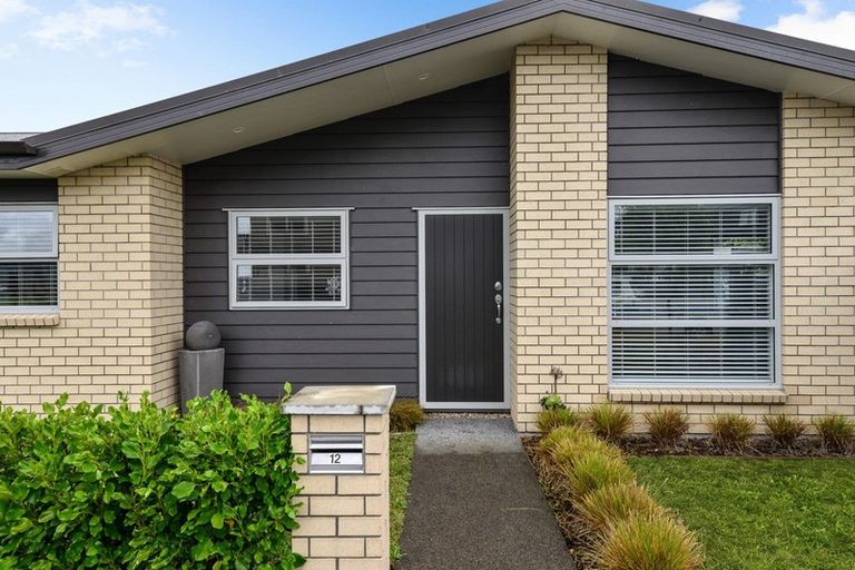 Photo of property in 12 Capper Crescent, Chartwell, Hamilton, 3210