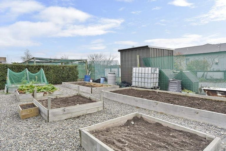 Photo of property in 295 Innes Road, Glasnevin, Amberley, 7482