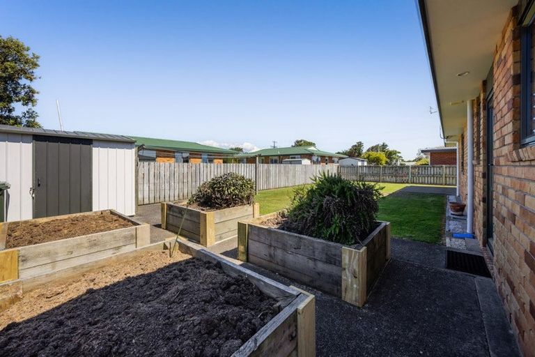 Photo of property in 51 Swansea Road, Stratford, 4332