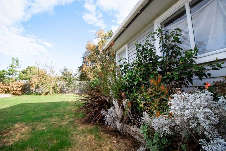 Photo of property in 51 Lincoln Street, Ashhurst, 4810