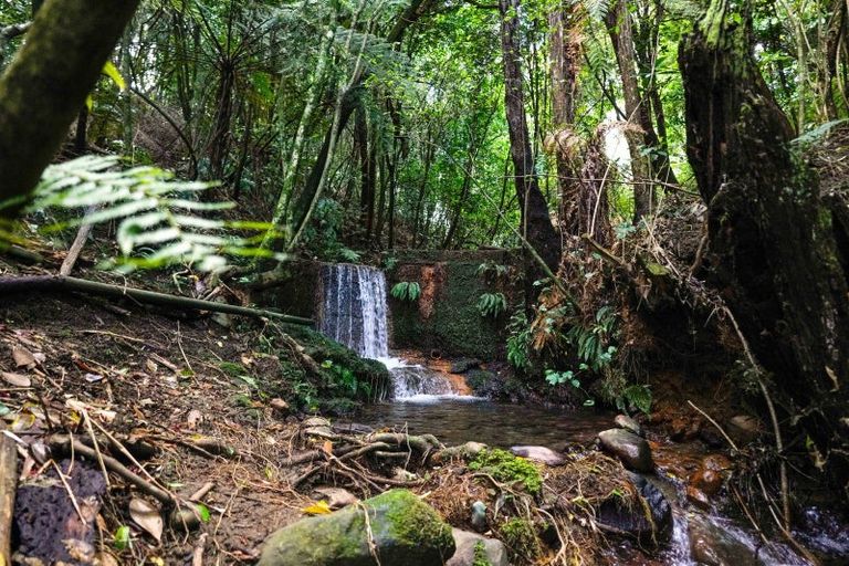 Photo of property in 7 Stoney Brook Lane, Kerikeri, 0230