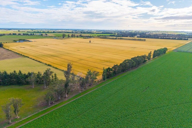 Photo of property in 215 Falvey Road, Levels, Timaru, 7975