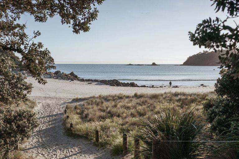 Photo of property in 6 Links Avenue, Mount Maunganui, 3116