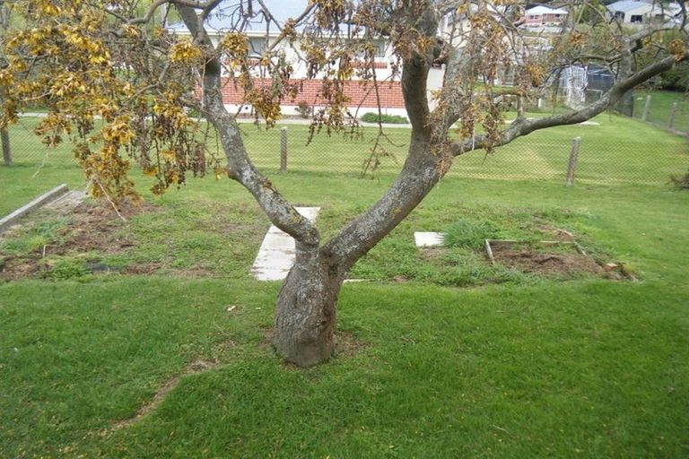 Photo of property in 36 Harwich Street, Balclutha, 9230
