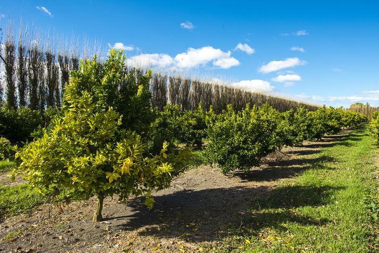 Photo of property in 37 Kirkpatrick Road, Patutahi, Gisborne, 4072