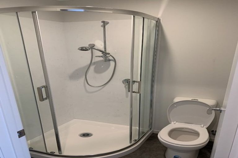 Photo of property in 11u4 Edgecumbe Street, Whitiora, Hamilton, 3200