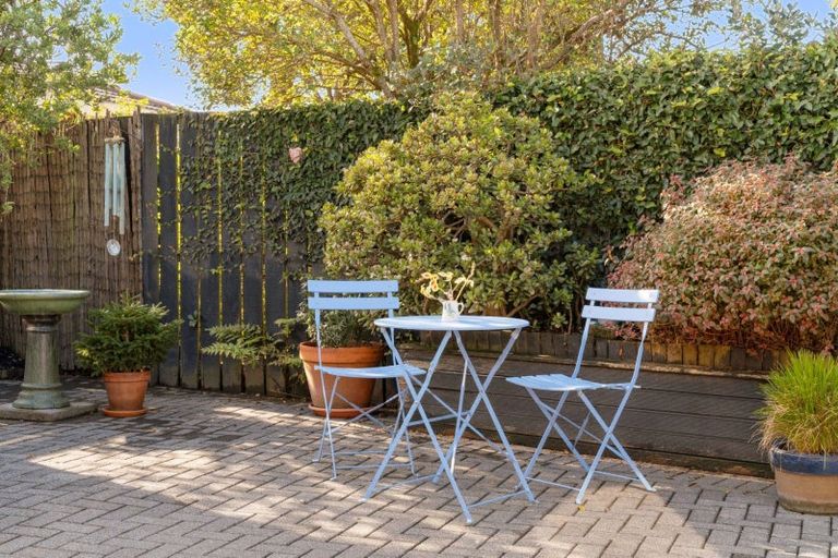 Photo of property in 55 Bayfair Drive, Mount Maunganui, 3116