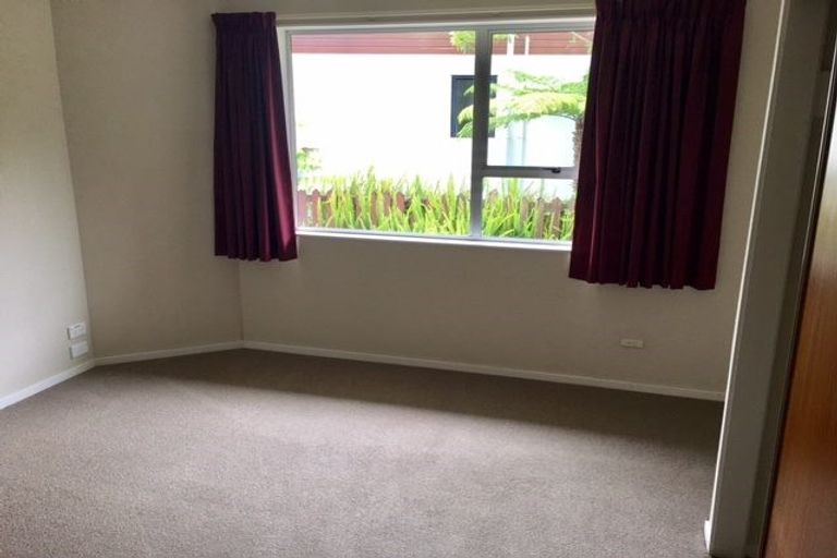 Photo of property in 49 Domett Street, Nelson, 7010