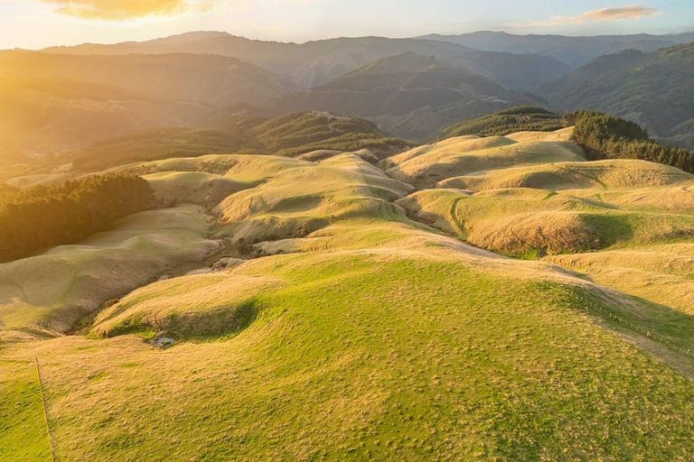 Photo of property in 492 Moonshine Hill Road, Moonshine Valley, Porirua, 5381