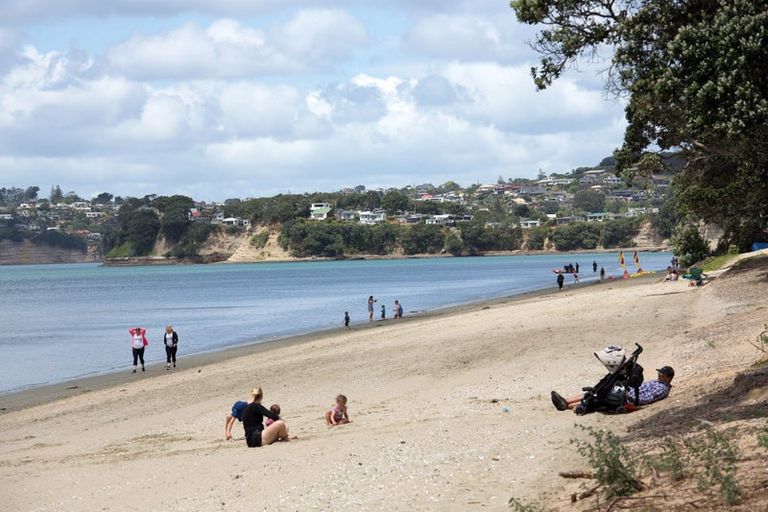 Photo of property in 49 Mita Road, Silverdale, 0932