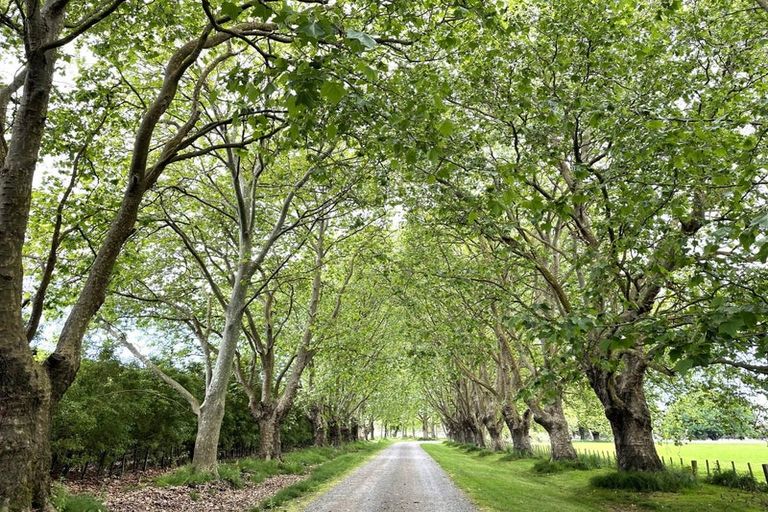 Photo of property in Hawthorne House, 1420 Railway Road South, Pakipaki, Hastings, 4178