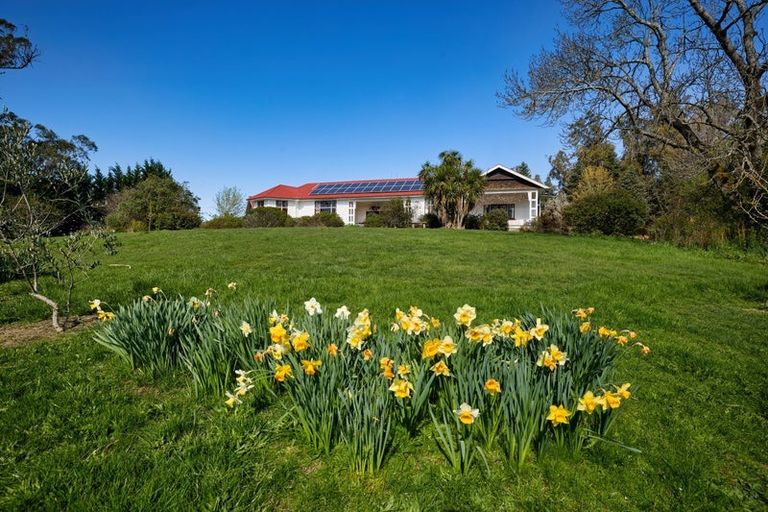 Photo of property in 242 Sisters Road, Ferniehurst, Cheviot, 7384