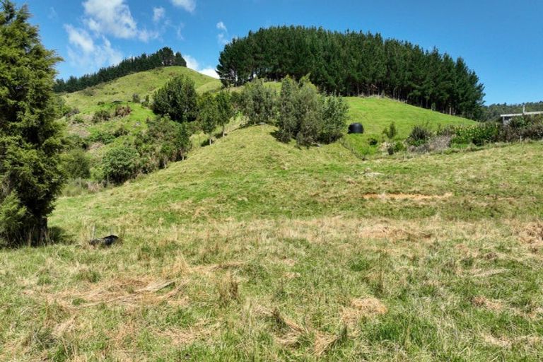 Photo of property in 44 Packtrack Road, Thames, 3577