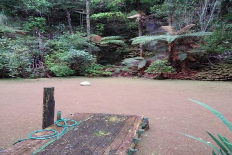 Photo of property in 502 Kaipara Flats Road, Dome Forest, Warkworth, 0981