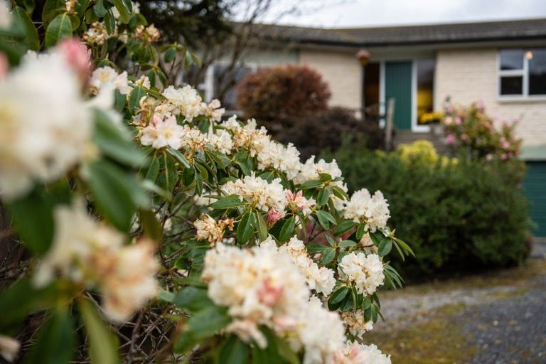 Photo of property in 101 Main Road, Clinton, 9534