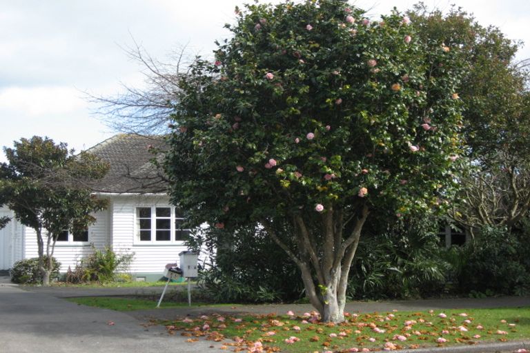 Photo of property in 16b Francis Street, Whakatane, 3120