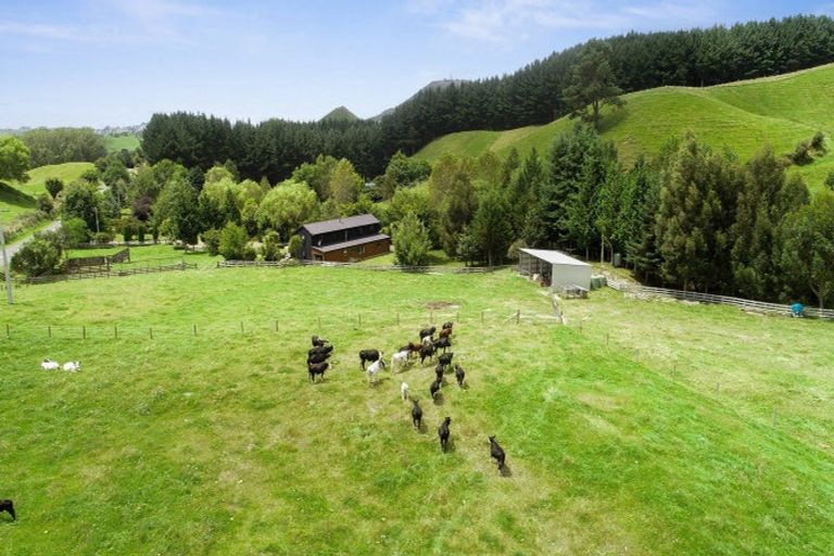 Photo of property in 1765 Tutukau Road, Ohakuri, Reporoa, 3083