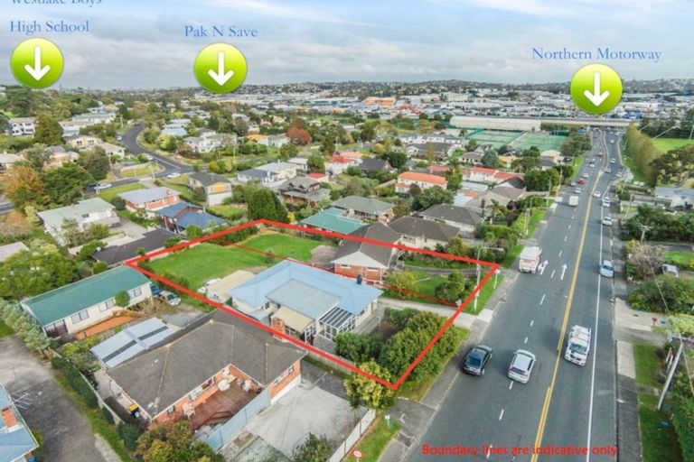 Photo of property in 20 Tristram Avenue, Forrest Hill, Auckland, 0620