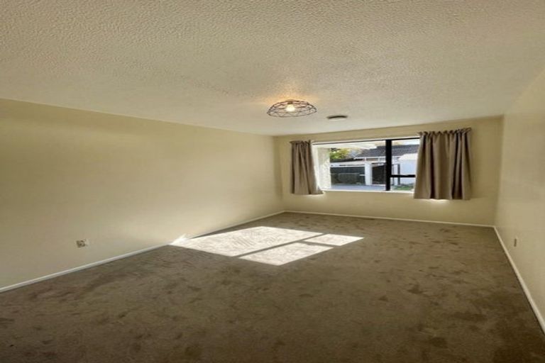 Photo of property in 8 Steadman Road, Broomfield, Christchurch, 8042