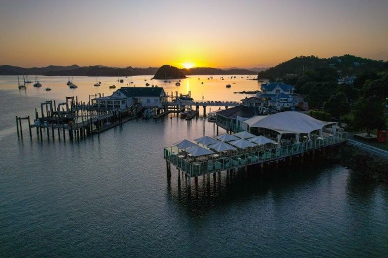 Photo of property in 9 Silver Fern Avenue, Hobsonville, 0616