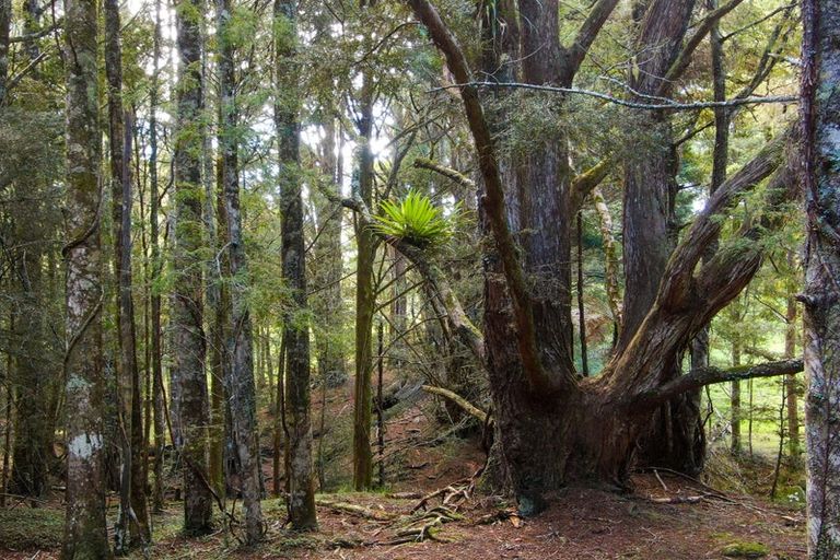Photo of property in 50c Old Valley Road, Okaihau, 0475