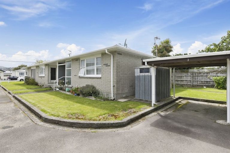 Photo of property in 3/3 Copeland Street, Hutt Central, Lower Hutt, 5011