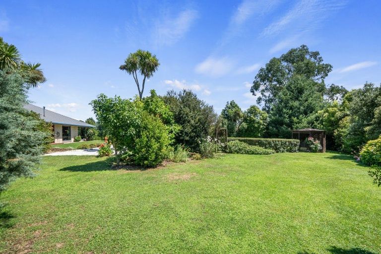 Photo of property in 51 Pohutukawa Drive, Levin, 5571
