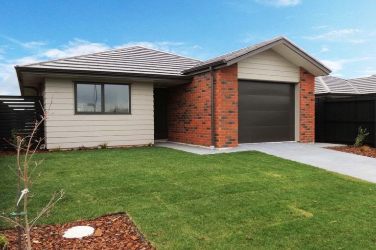 Photo of property in 41 Valiant Street, Wigram, Christchurch, 8042