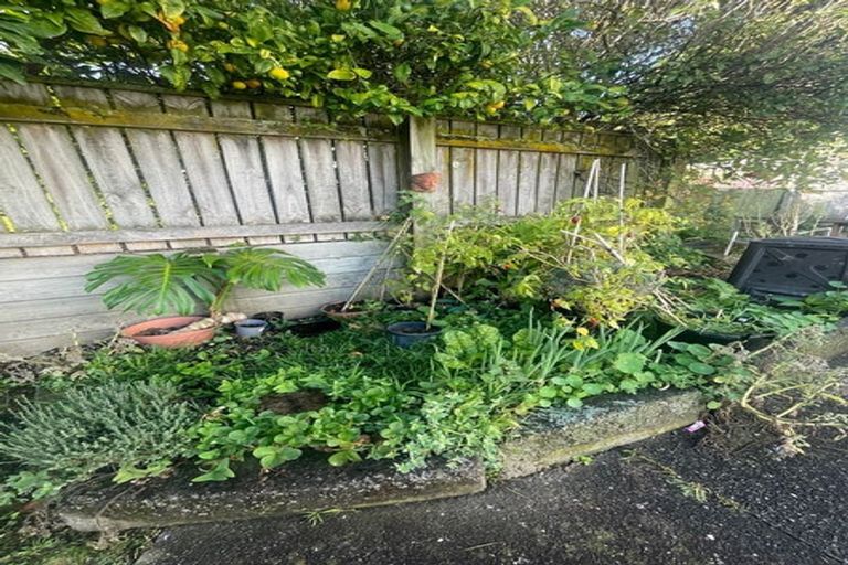 Photo of property in 23 Nairn Street, Mount Cook, Wellington, 6011