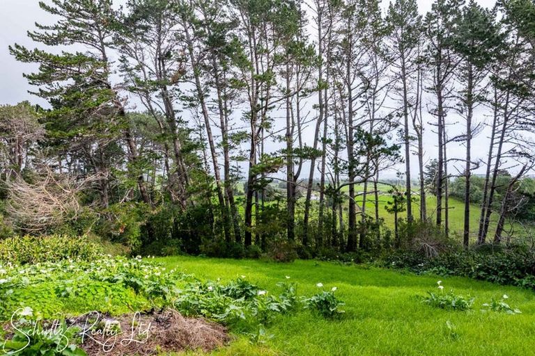 Photo of property in 5a Pirika Street, Dargaville, 0310