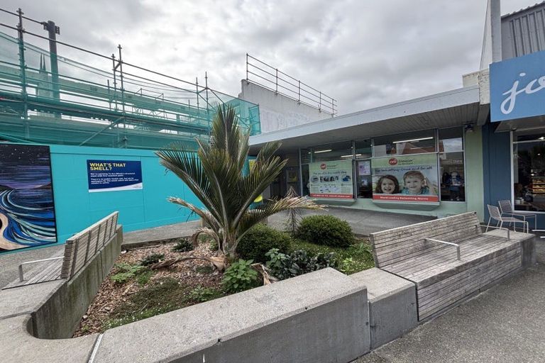 Photo of property in 13 Mahara Place, Maori Hill, 7910