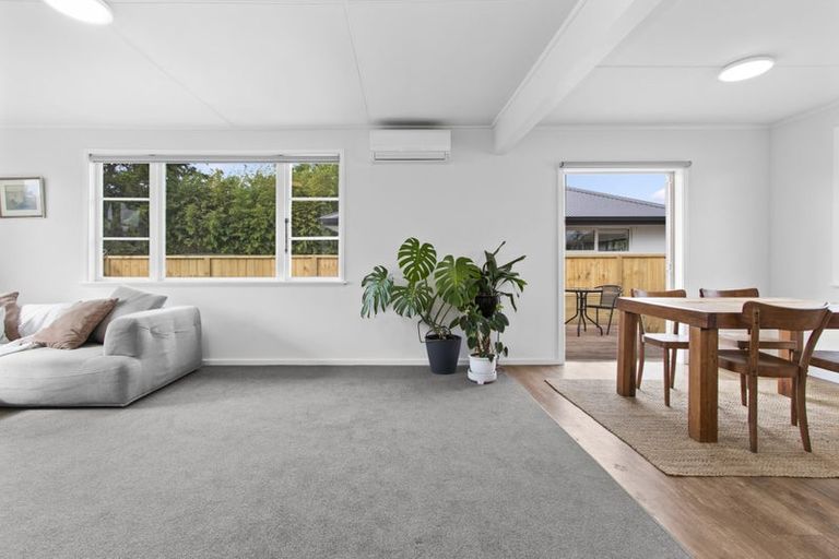 Photo of property in 41u1 Ross Crescent, Fairfield, Hamilton, 3214