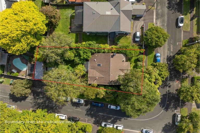 Photo of property in 24 Myrtle Street, Hamilton East, Hamilton, 3216