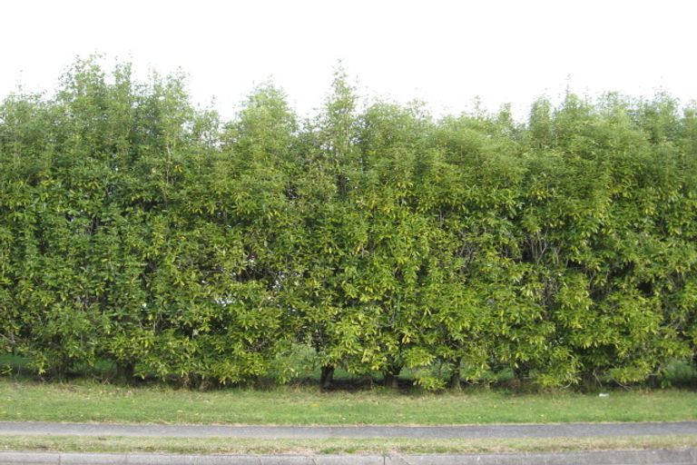 Photo of property in 109 Mckellar Place, Whangamata, 3620