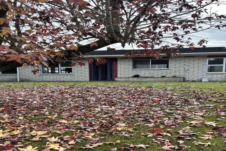 Photo of property in 6 Malcolm Street, Riverlea, Hamilton, 3216