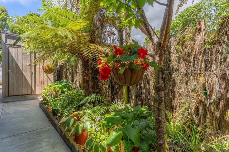 Photo of property in 24 Kereru Street, Waikanae, 5036