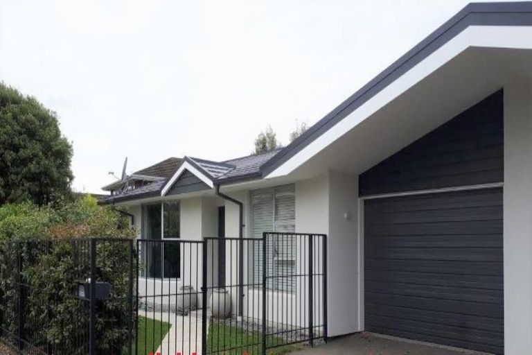 Photo of property in 8 Woodbank Street, Somerfield, Christchurch, 8024