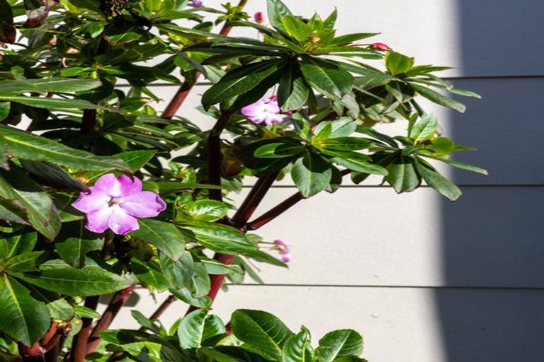 Photo of property in 54 Rayner Road, Huntly, 3700